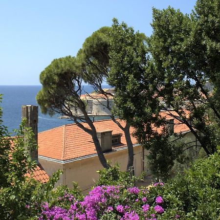 Tole Apartment Dubrovnik Ngoại thất bức ảnh